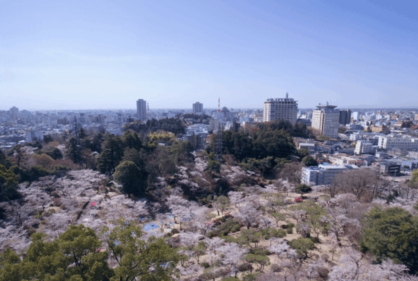 宇都宮のモデルハウス完全ガイド！住宅展示場・イベント情報から家具付き販売まで徹底解説