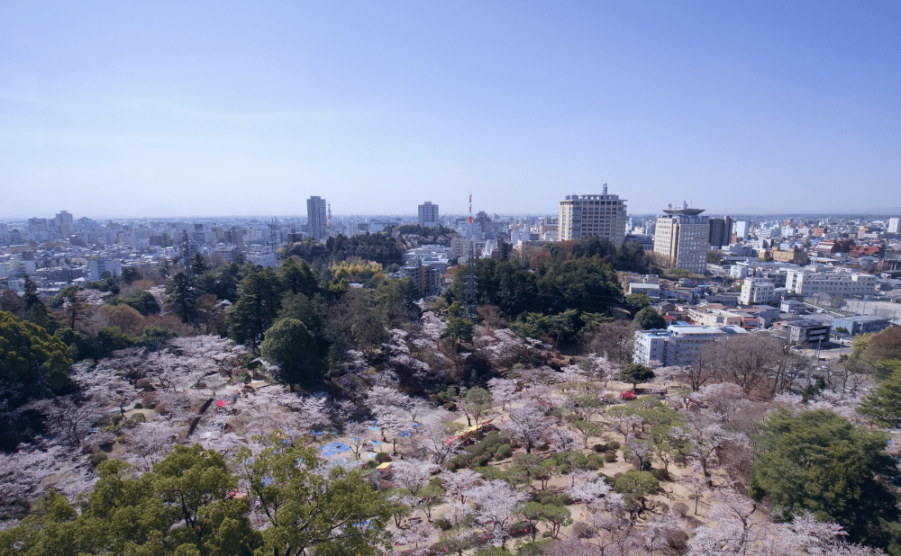宇都宮のモデルハウス完全ガイド！住宅展示場・イベント情報から家具付き販売まで徹底解説