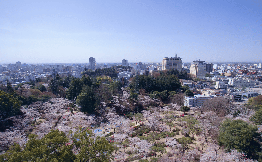 宇都宮市の平屋建売を徹底解説！価格相場・新築との違い・ローコスト住宅の選び方