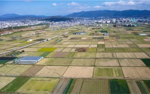 調整区域（市街化調整区域）は「開発を抑制する地域」